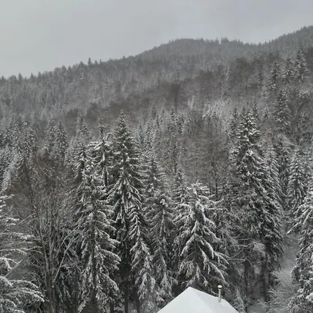 Chalet Gorska Kopaonik