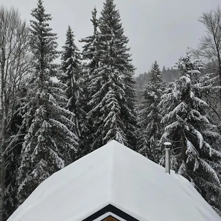 Chalet Gorska Kopaonik