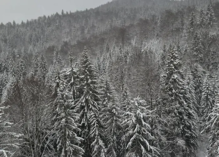 Dağ evi Gorska Kopaonik