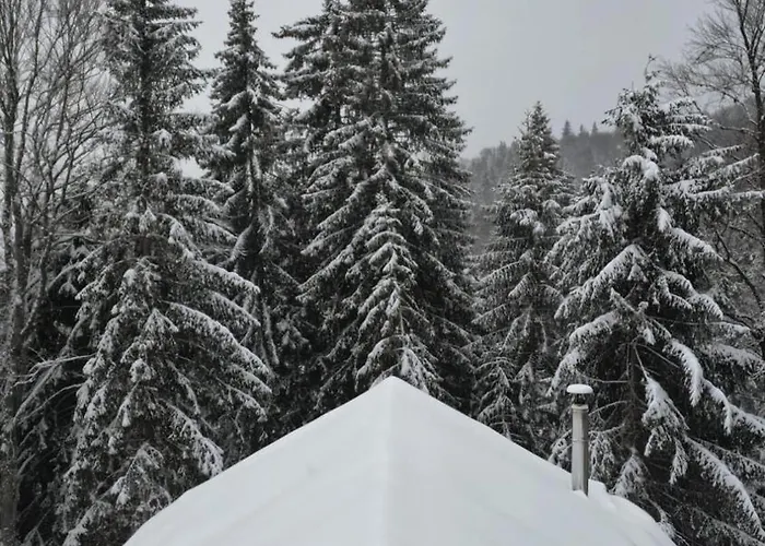 Dağ evi Gorska Kopaonik